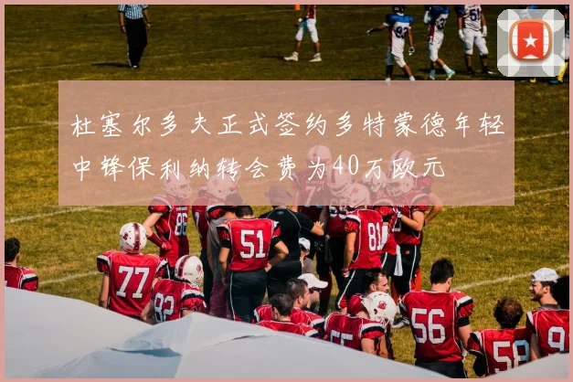 杜塞尔多夫正式签约多特蒙德年轻中锋保利纳转会费为40万欧元