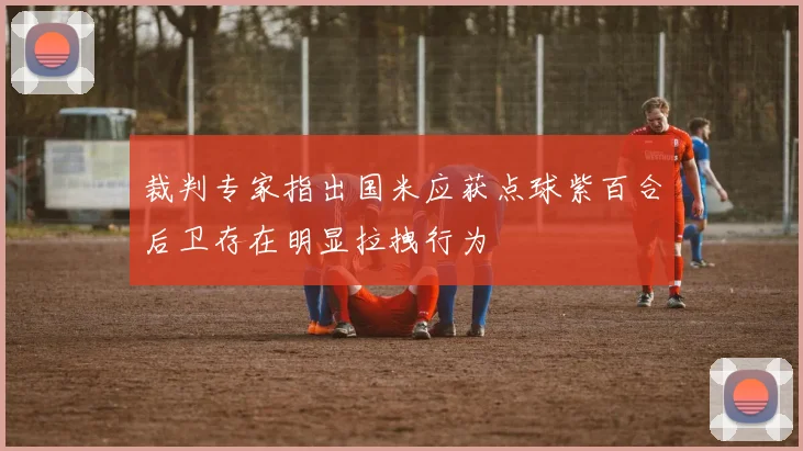 裁判专家指出国米应获点球紫百合后卫存在明显拉拽行为