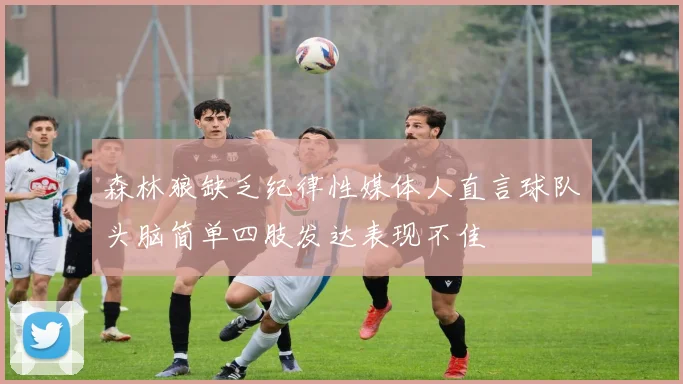 森林狼缺乏纪律性媒体人直言球队头脑简单四肢发达表现不佳