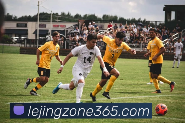 乐竞体育平台生态图